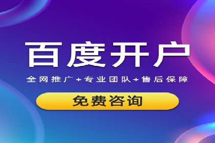 行业领先企业的SEM优化之路